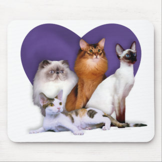 PCBR Mousepad! Mouse Mat