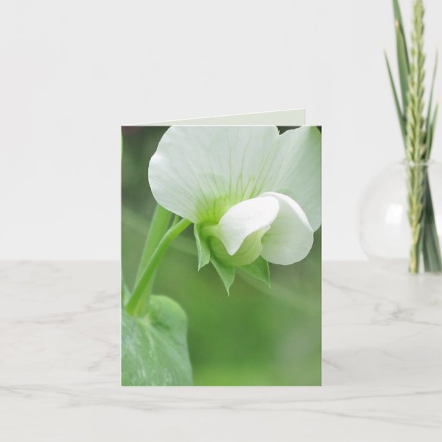 Pea Blossoms custom notecard or greeting card (Front)