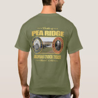 Pea Ridge (Elkhorn Tavern) FH2