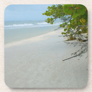 Peace and Quiet at Sanibel Island Coaster