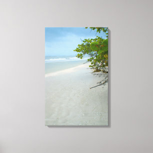 Peace and Quiet on Sanibel Island Canvas Print