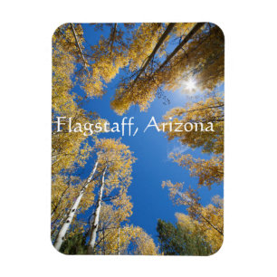 Peace and serenity Aspen trees, Flagstaff, Arizona Magnet