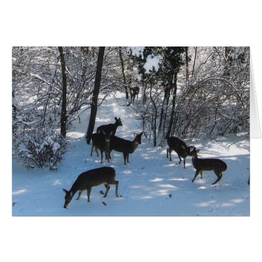 Peace at Christmas Card
