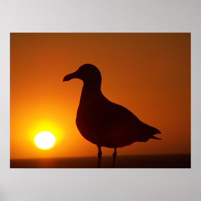 Peace be Still_ Poster (Front)