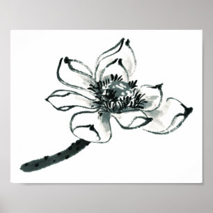 Peace   Beautiful Watercolor Lotus Poster
