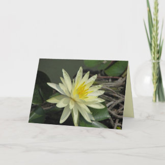Peace Card