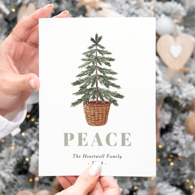 Peace Christmas Evergreen Tree Simple Holiday Postcard (Creator Uploaded)