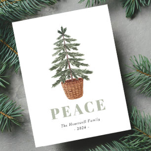 Peace Christmas Evergreen Tree Simple Holiday Postcard