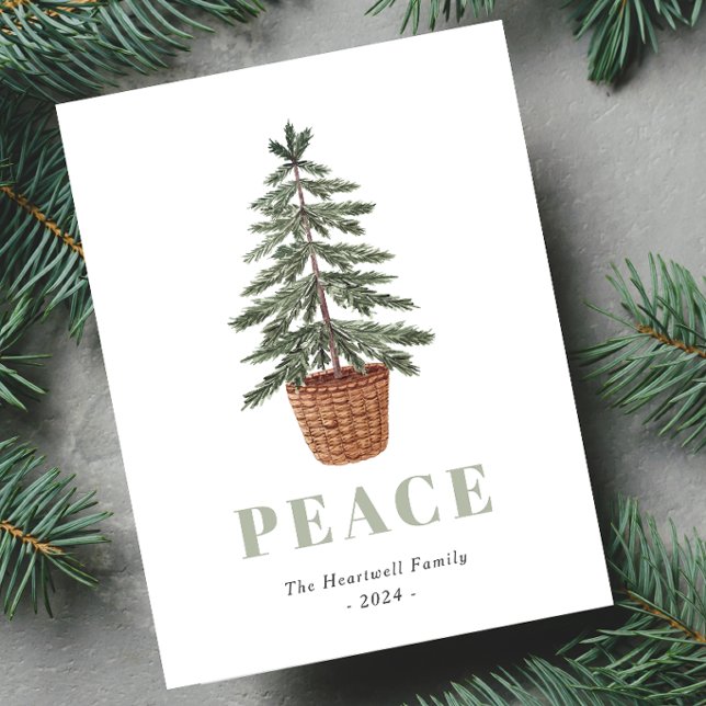 Peace Christmas Evergreen Tree Simple Holiday Postcard (Creator Uploaded)
