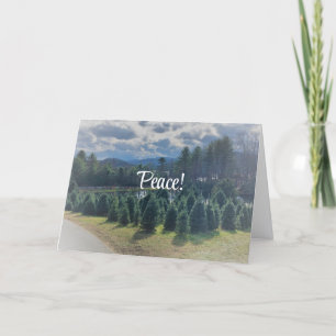 Peace, Christmas Folded Greeting Card