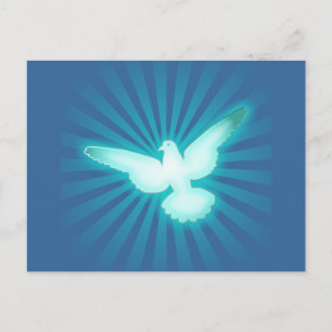 Peace dove postcard
