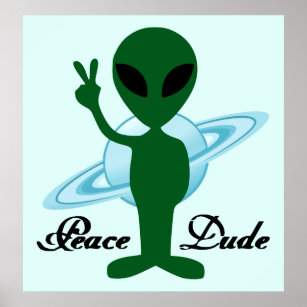 Peace Dude Poster
