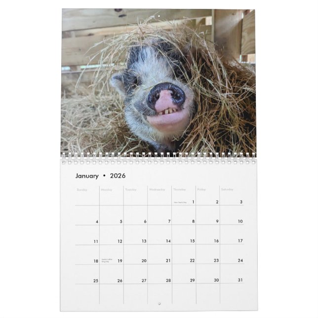 Peace Farm Calendar (Jan 2026)