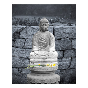 Peace Garden Photo Print