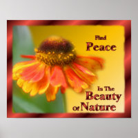 Peace In Nature Zinnia Flower Inspirational