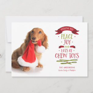 Peace Joy & Chew Toys Holiday Pet Dog Photo Card