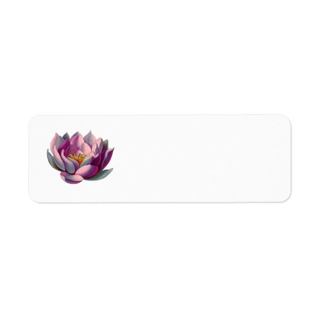 Peace l Beautiful Pink Lotus Flower/Water Lily (Front)