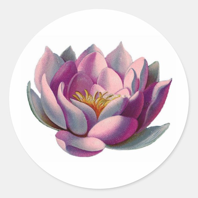 Peace l Beautiful Pink Lotus Flower/Water Lily Classic Round Sticker (Front)