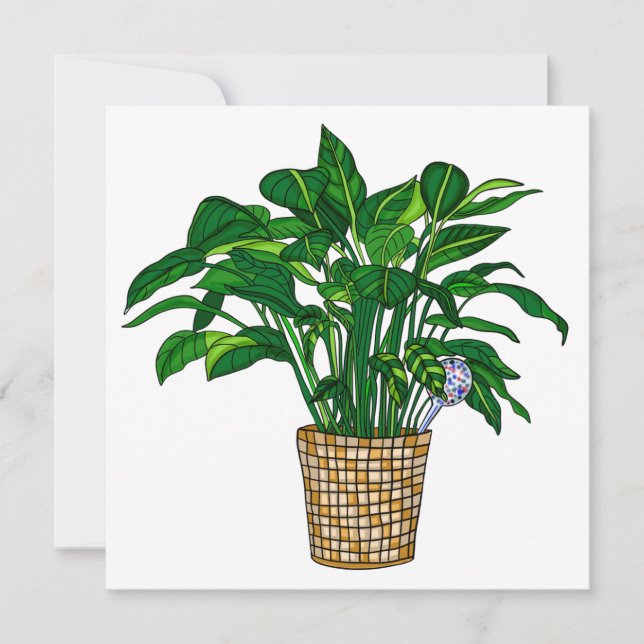 Peace Lilly Hand Drawn House Plant Blank Card (Front)