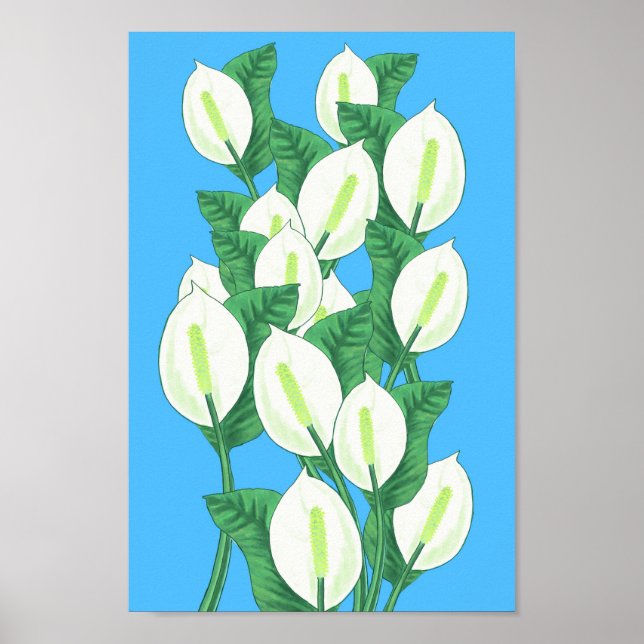 Peace Lily Illustration Poster (Front)