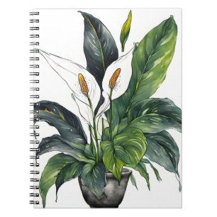 Peace Lily - Watercolor flowers Notebook