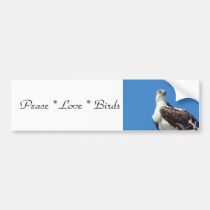 Peace Love Birds Bumper Sticker