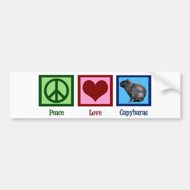 Peace Love Capybaras Bumper Sticker (Front)