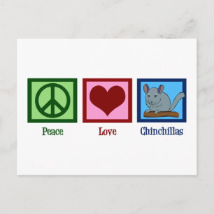 Peace Love Chinchillas Postcard