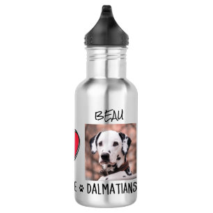 Peace Love Dalmatian Dog Lovers Stainless Steel Wa 532 Ml Water Bottle