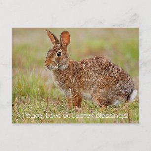 Peace, Love & Easter Blessings! Postcard
