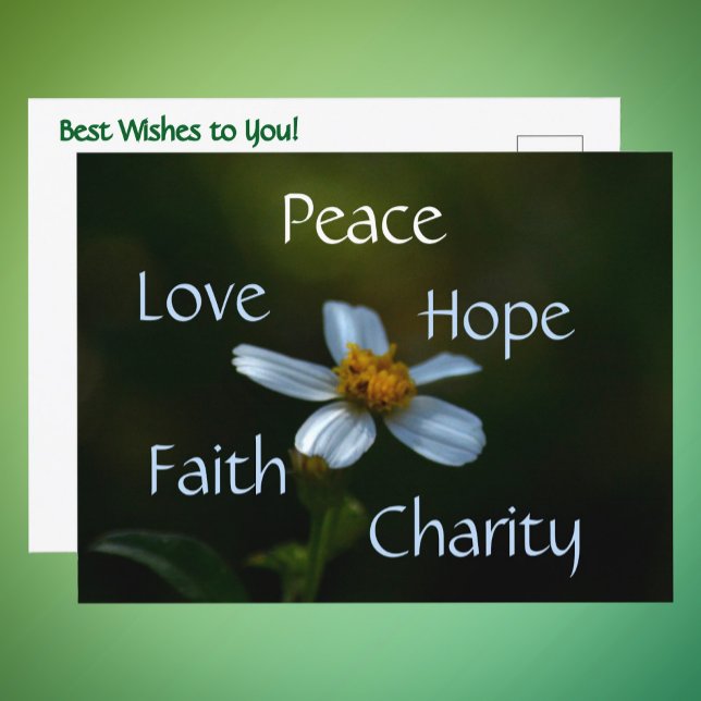 Peace Love Hope Faith Charity Daisy Floral Postcard (Creator Uploaded)