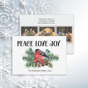 Peace Love Joy Christmas Holiday Robin Pine Branch