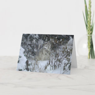 Peace Love Joy Dog Christmas Card