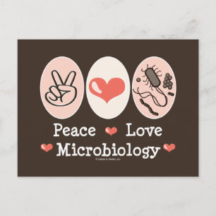 Peace Love Microbiology Postcard