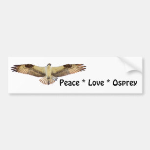 Peace Love Osprey bird Bumper Sticker