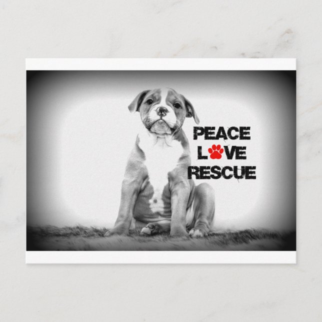 Peace Love Rescue Dog Postcard (Front)