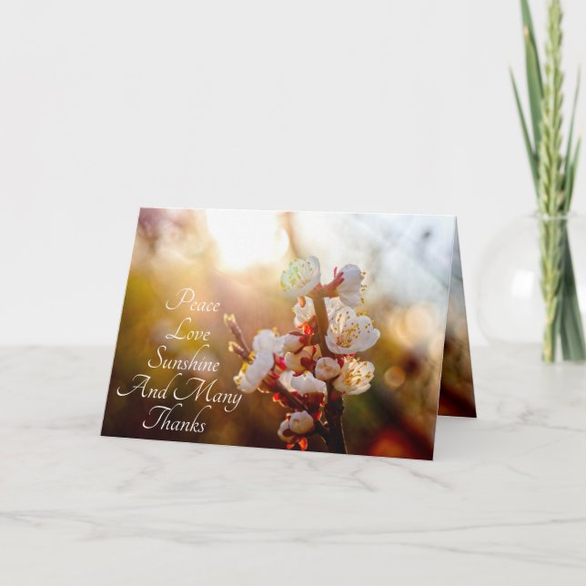 Peace, Love, Sunshine And Many Thanks Thank You Card (Front)