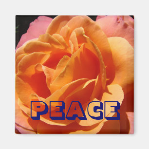 PEACE magnet Orange Rose Flower nature