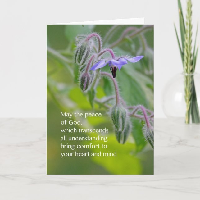 Peace of God Sympathy Card (Borage) (Front)