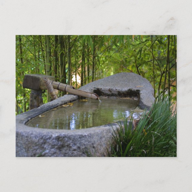 Peace of Mind Postcard (Front)