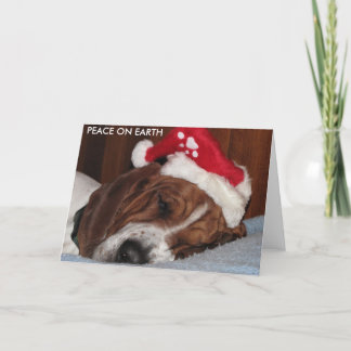 PEACE ON EARTH CARDS