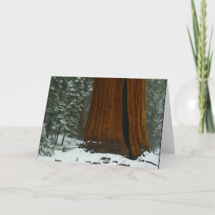 Peace on Earth Christmas Card