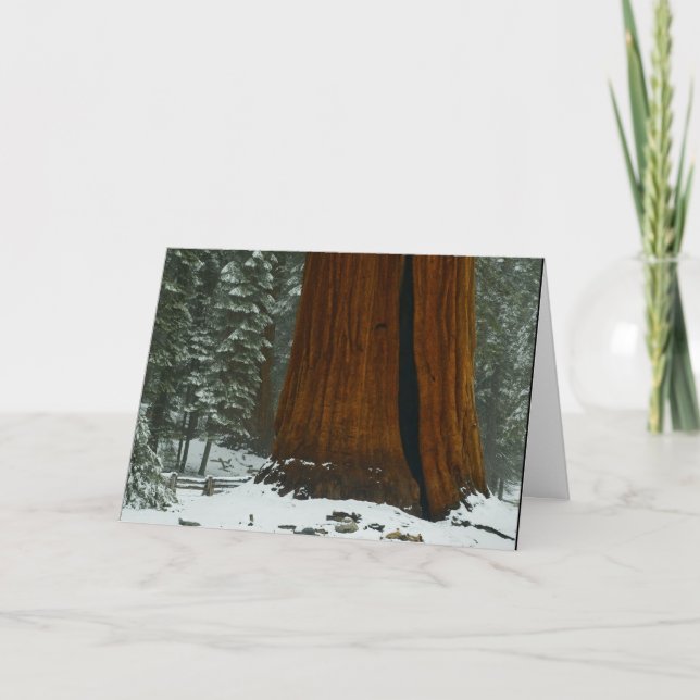 Peace on Earth Christmas Card (Front)