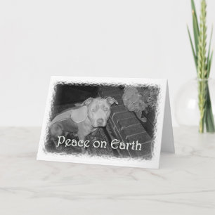 Peace on Earth Christmas card (Pit Bull)