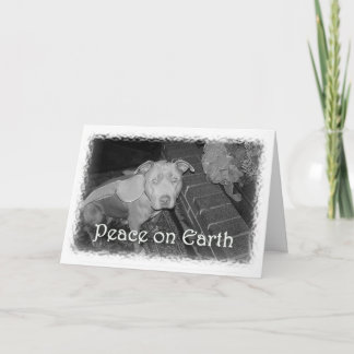 Peace on Earth Christmas card (Pit Bull)