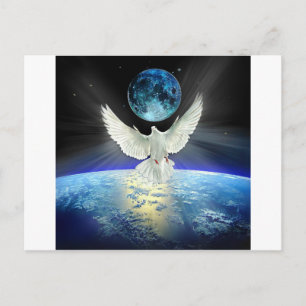 Peace on Earth Dove of Peace Postcard