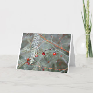Peace on Earth Gardener Christmas Card