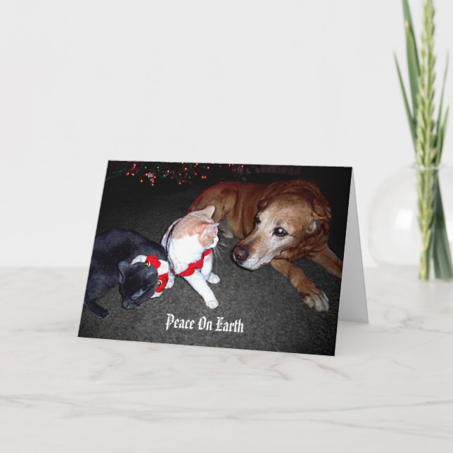 Peace On Earth Holiday Card (Front)