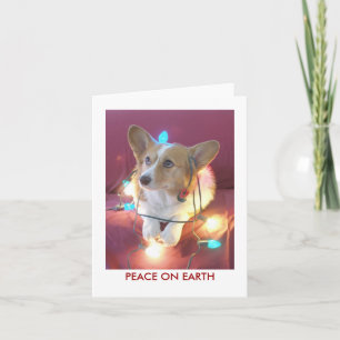 Peace on Earth Holiday Card