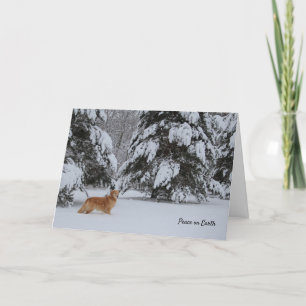 Peace on Earth Holiday Card